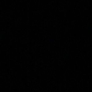 Meet your Posher, Jonique